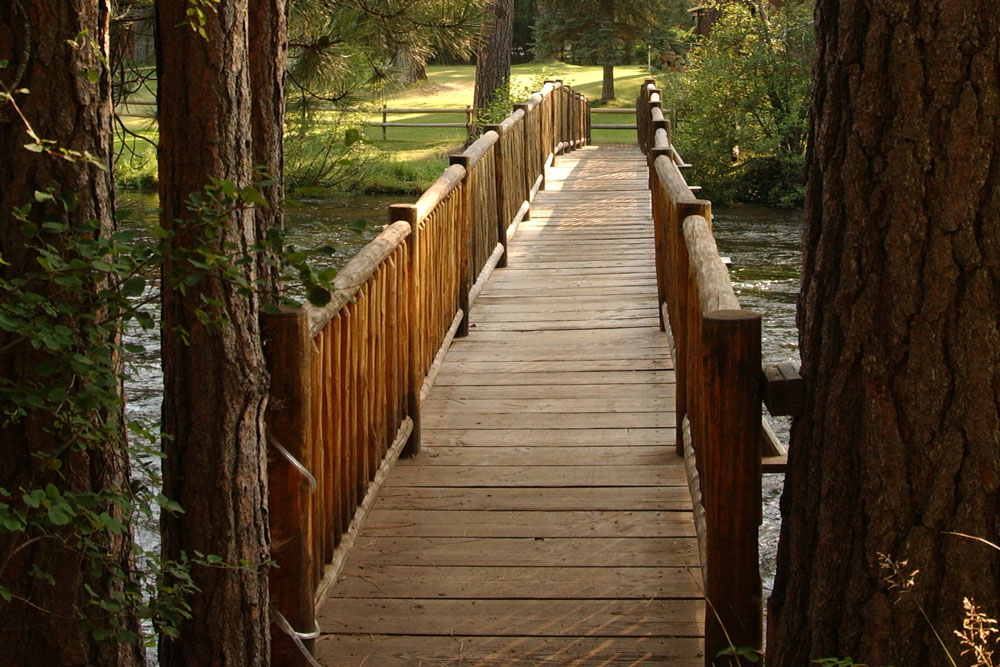 Bridge